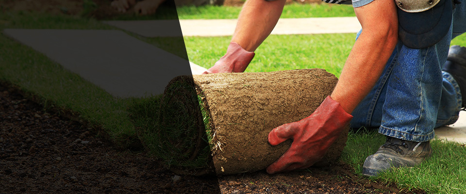Tuscaloosa Landscapers